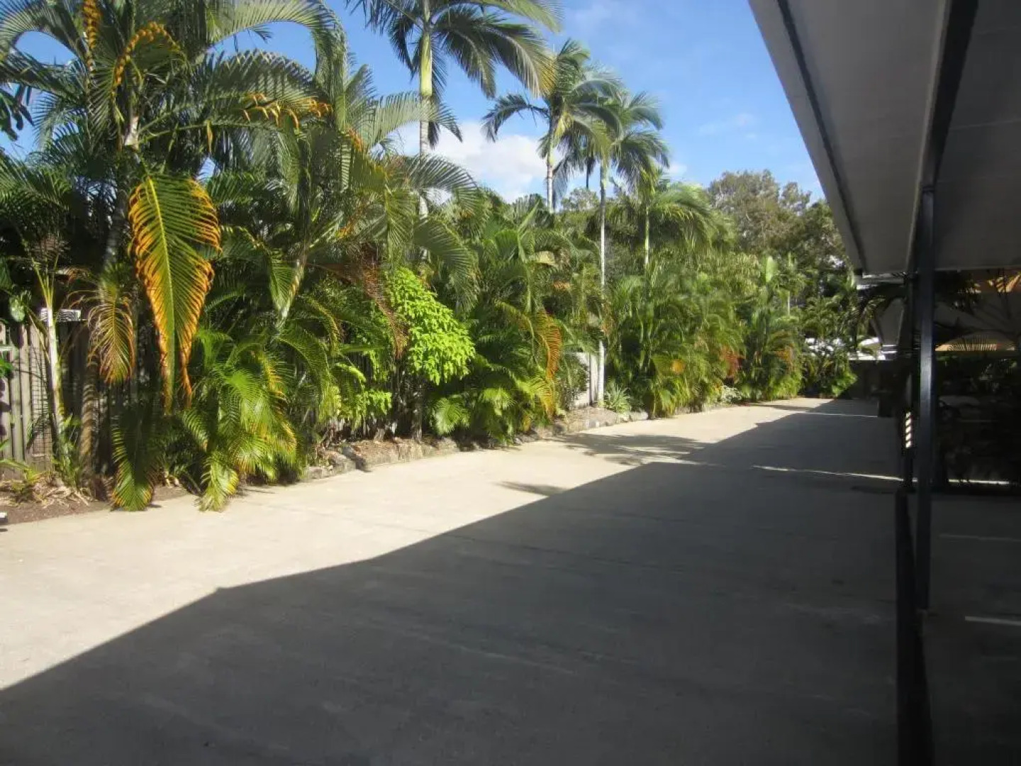 Lazy Lizard Motor Inn