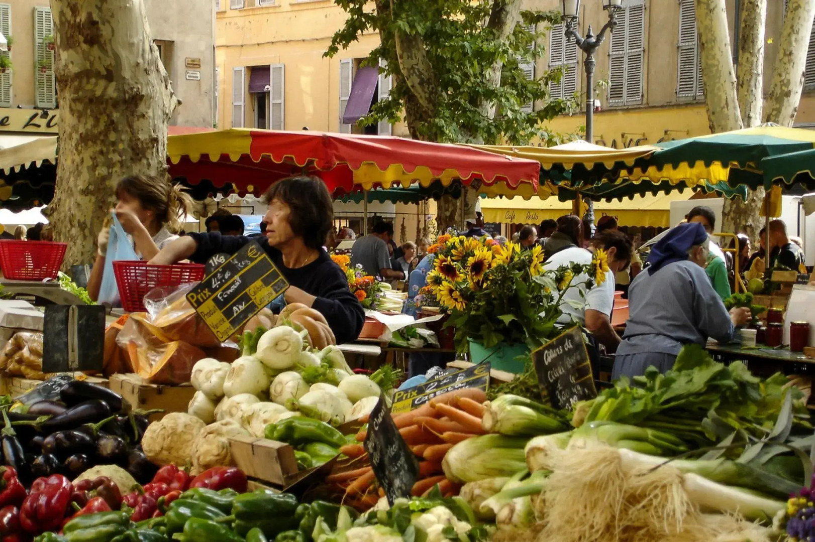 Holiday Home in Provence With Private Pool