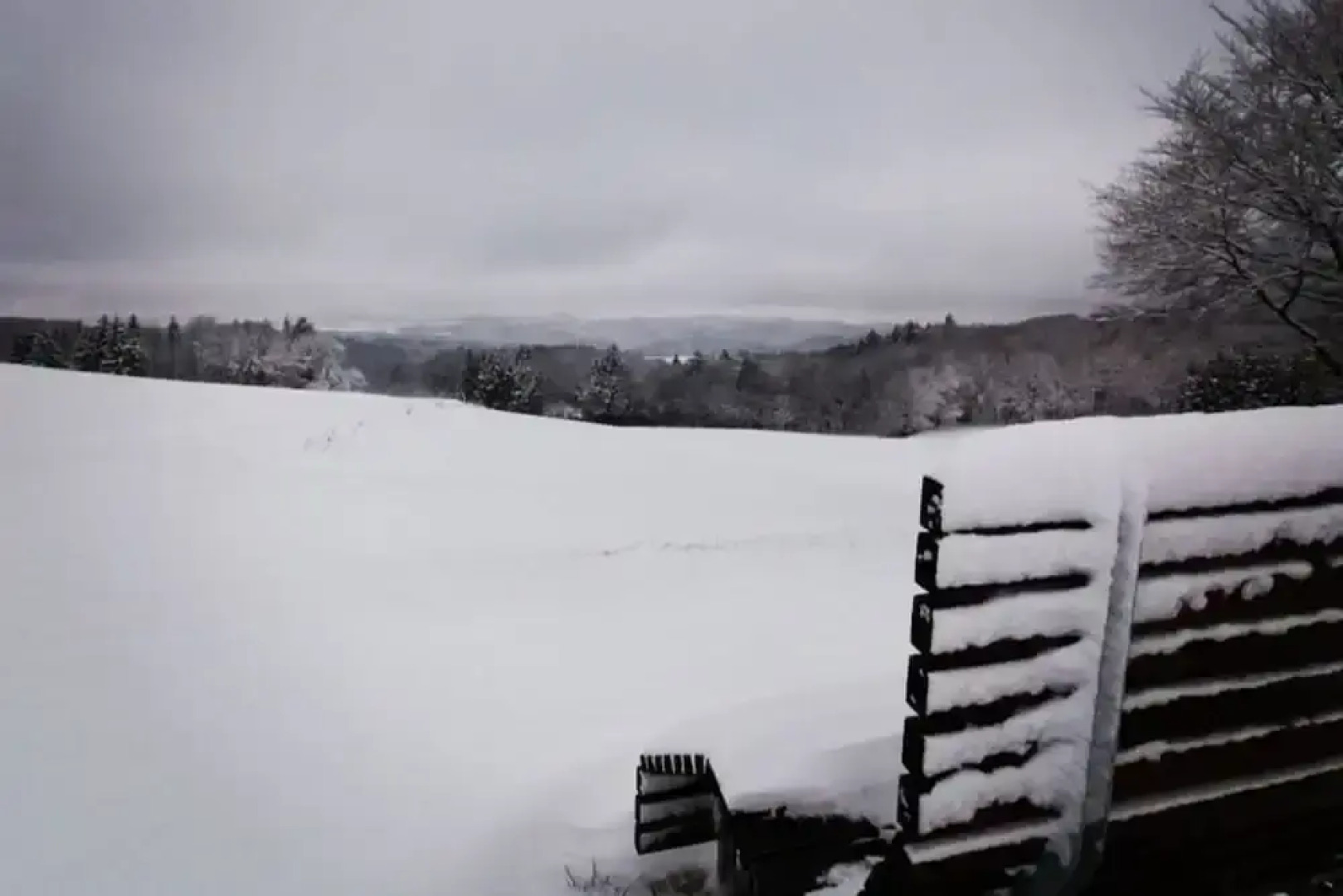 Spacious Flat in Adenau Near the Nurburgring