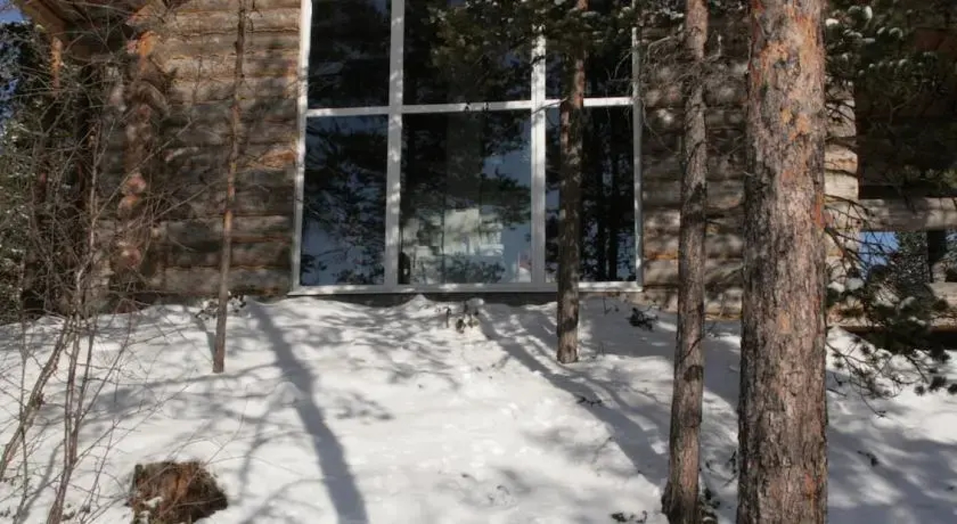 Сияние Севера