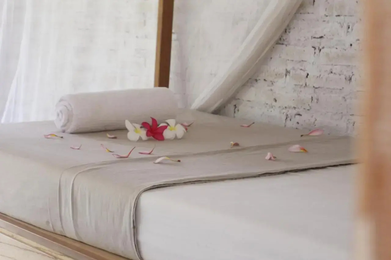 Surfer House-Surf School & Camp