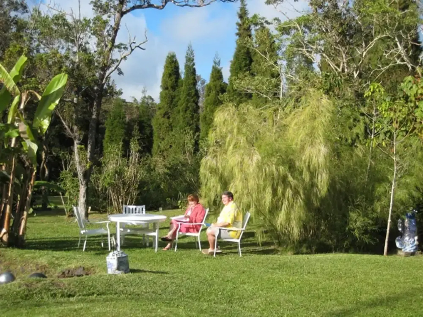 Volcano Artist Cottage