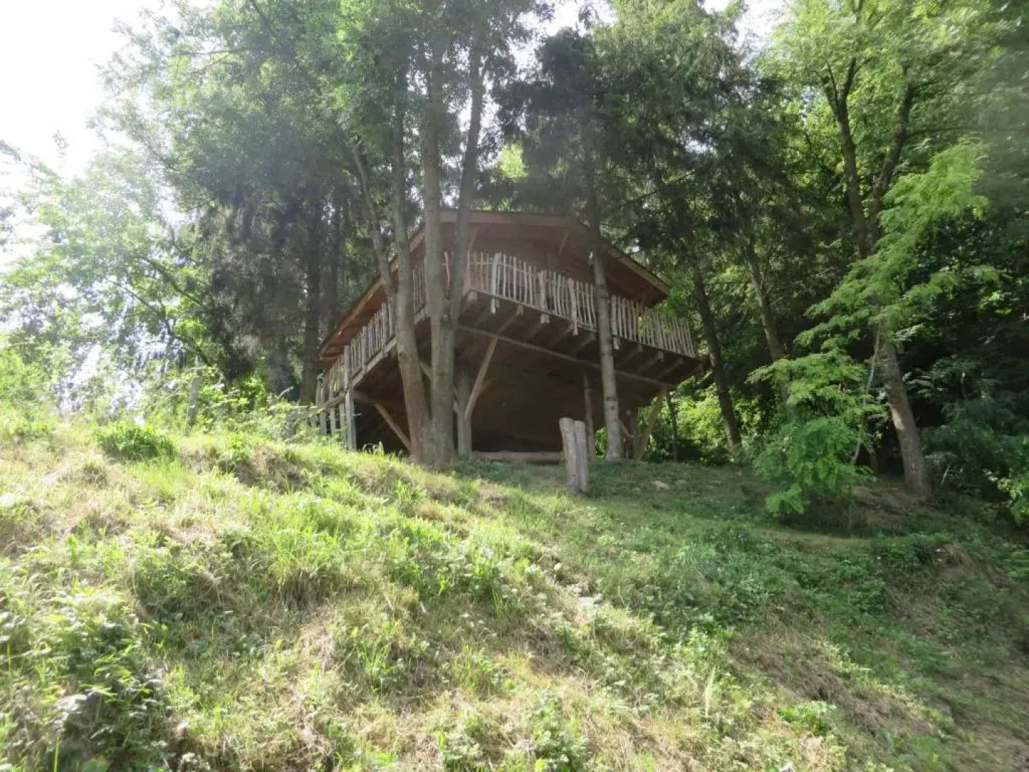 La Cabane aux Sapins