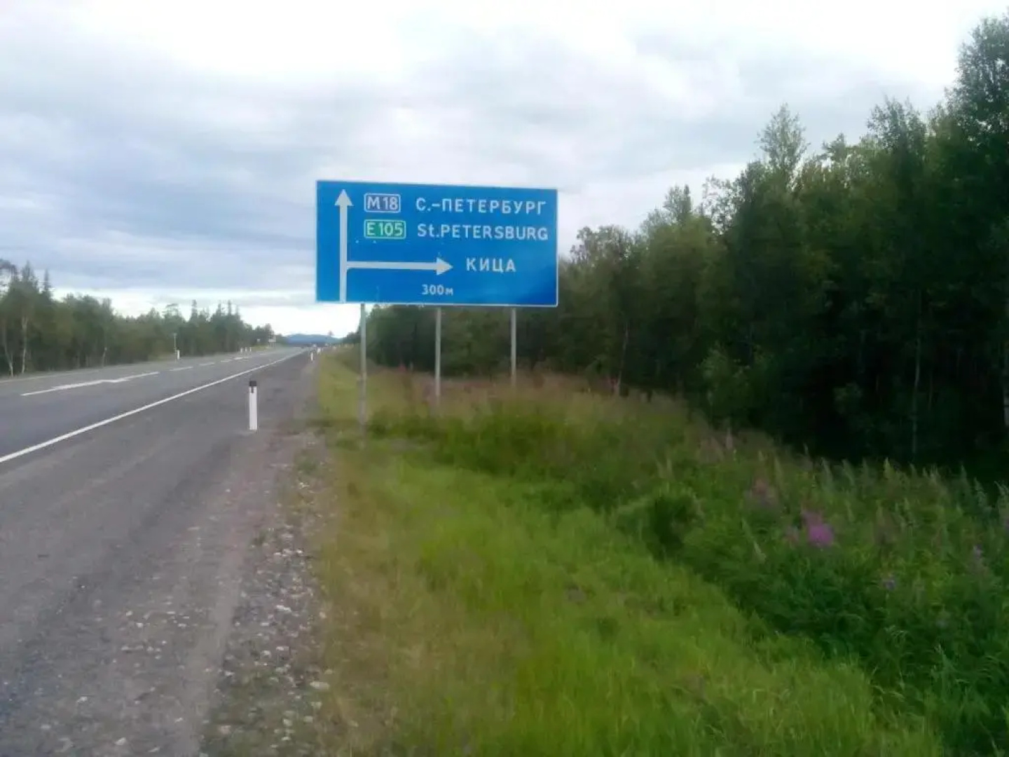 Кица