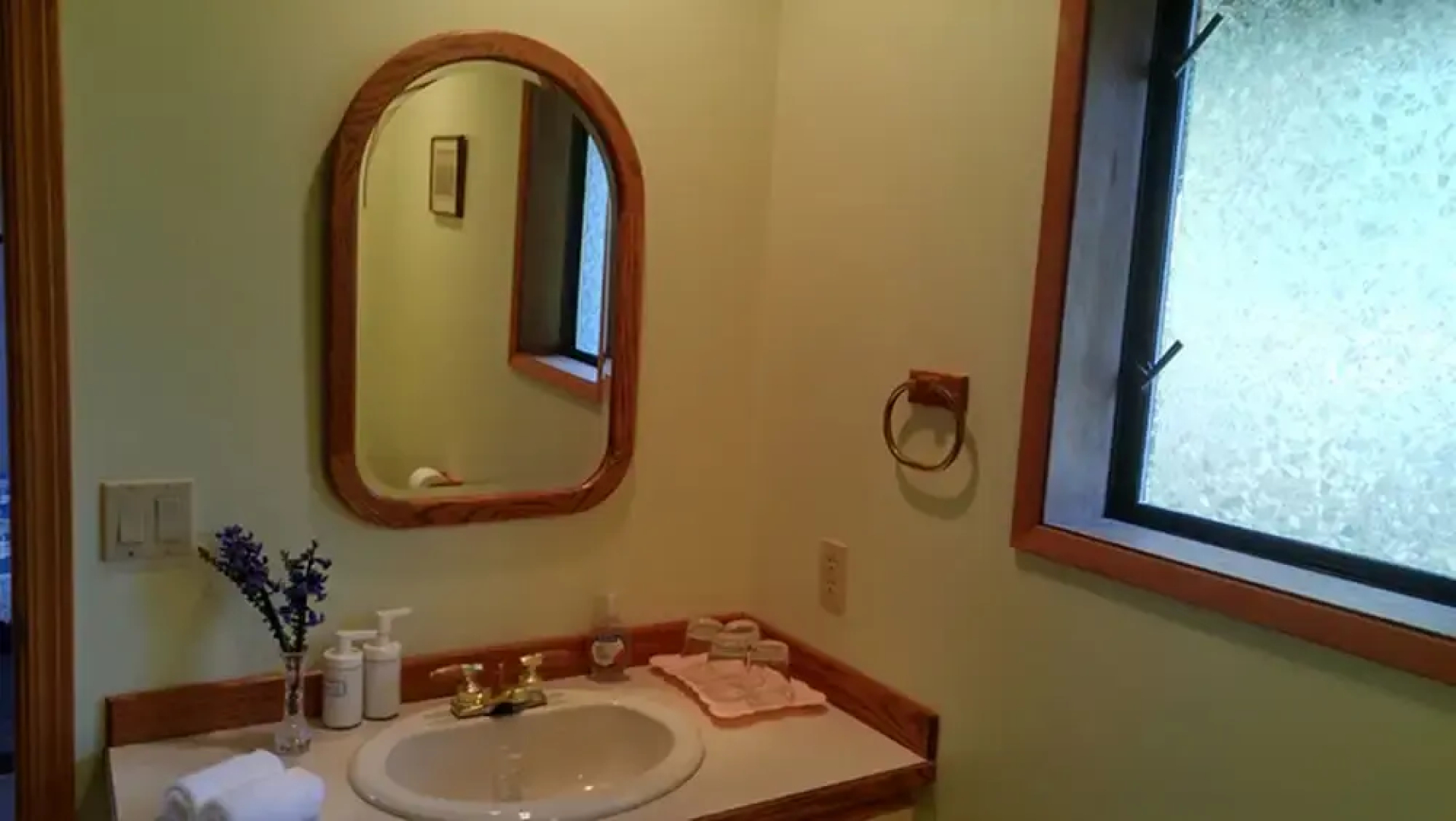 Sunshine Coast Treetop Wonderland