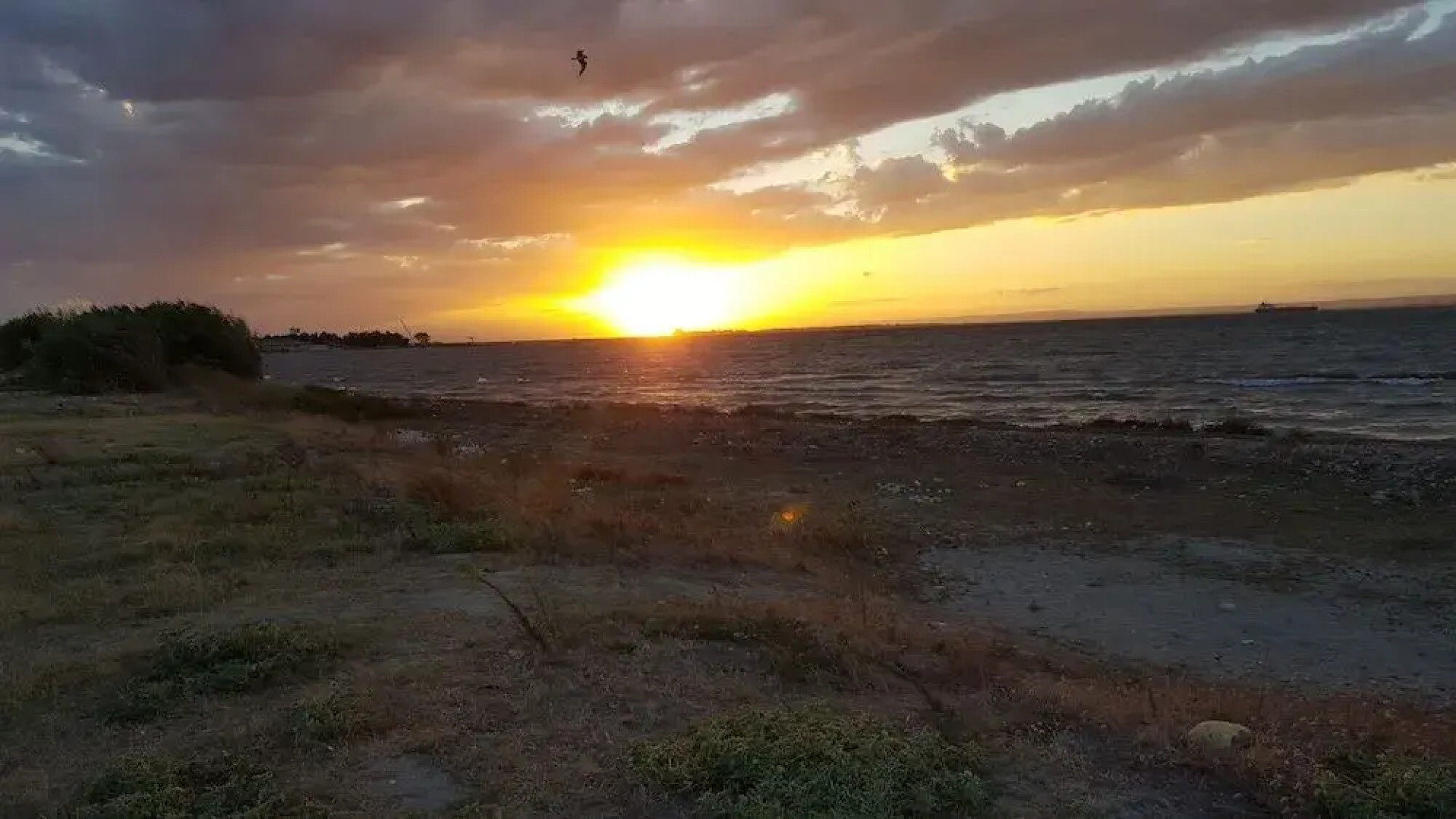 SunWine Bed & Breakfast