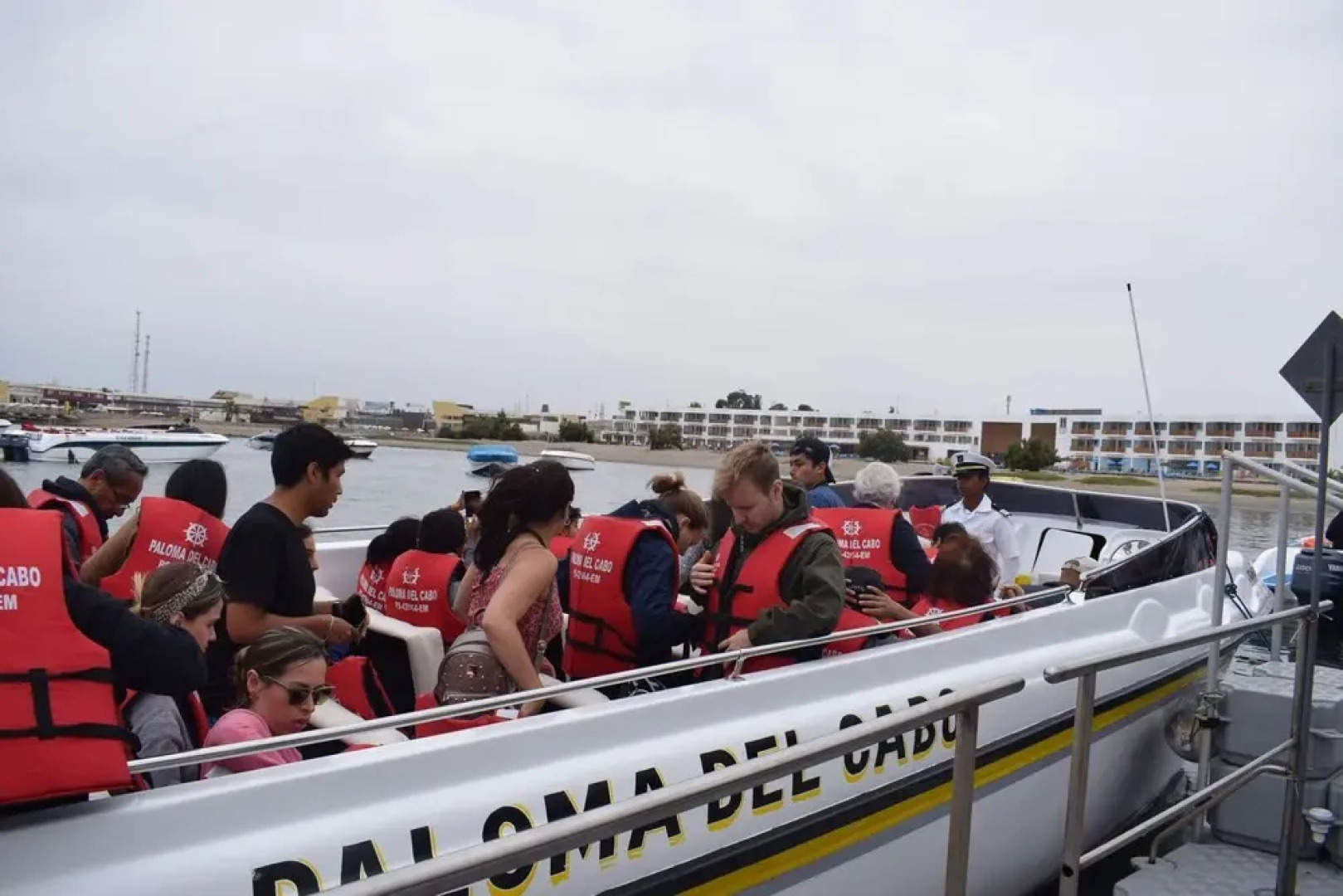 The Zarcillo Paradise