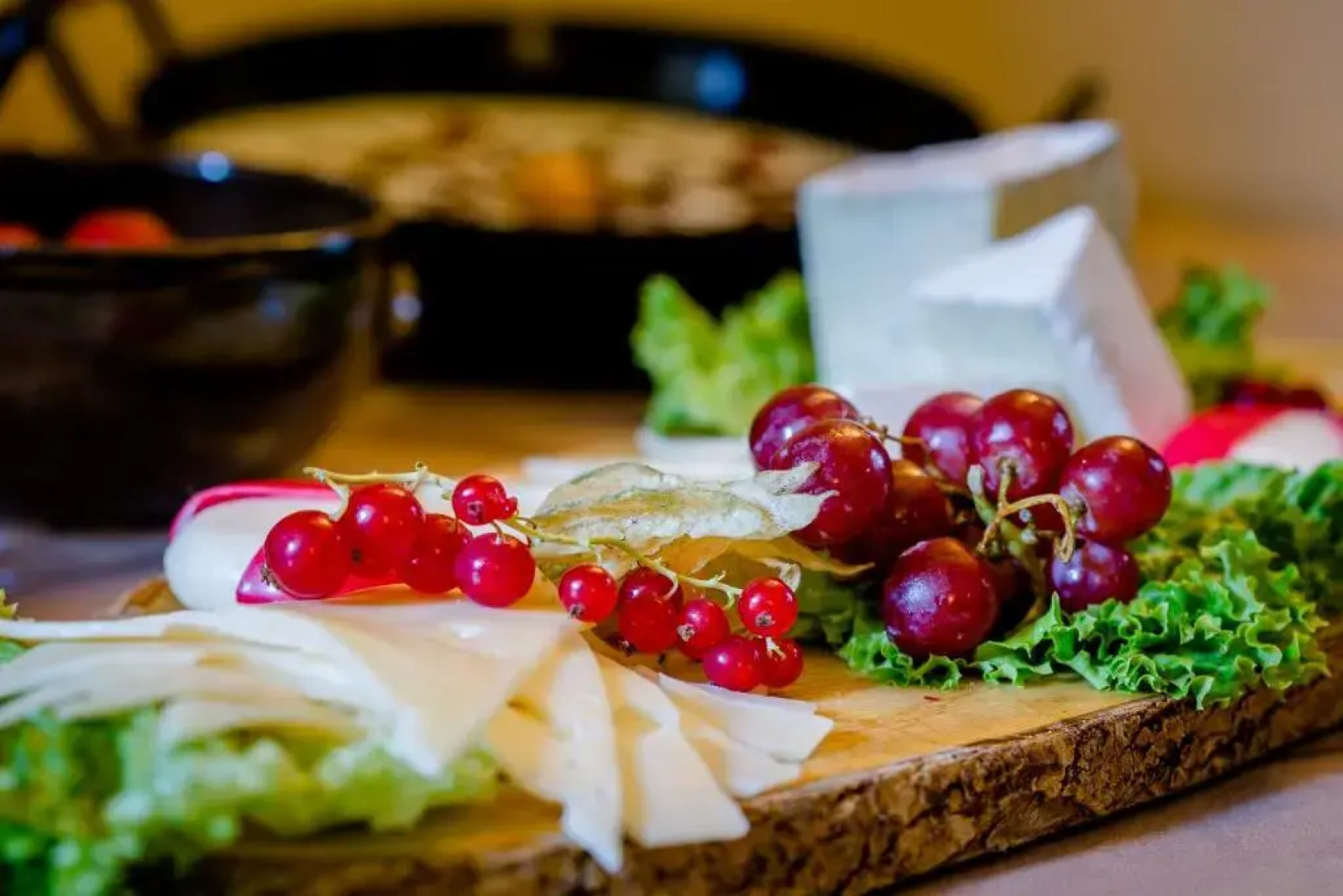 Rittergut Positz GmbH