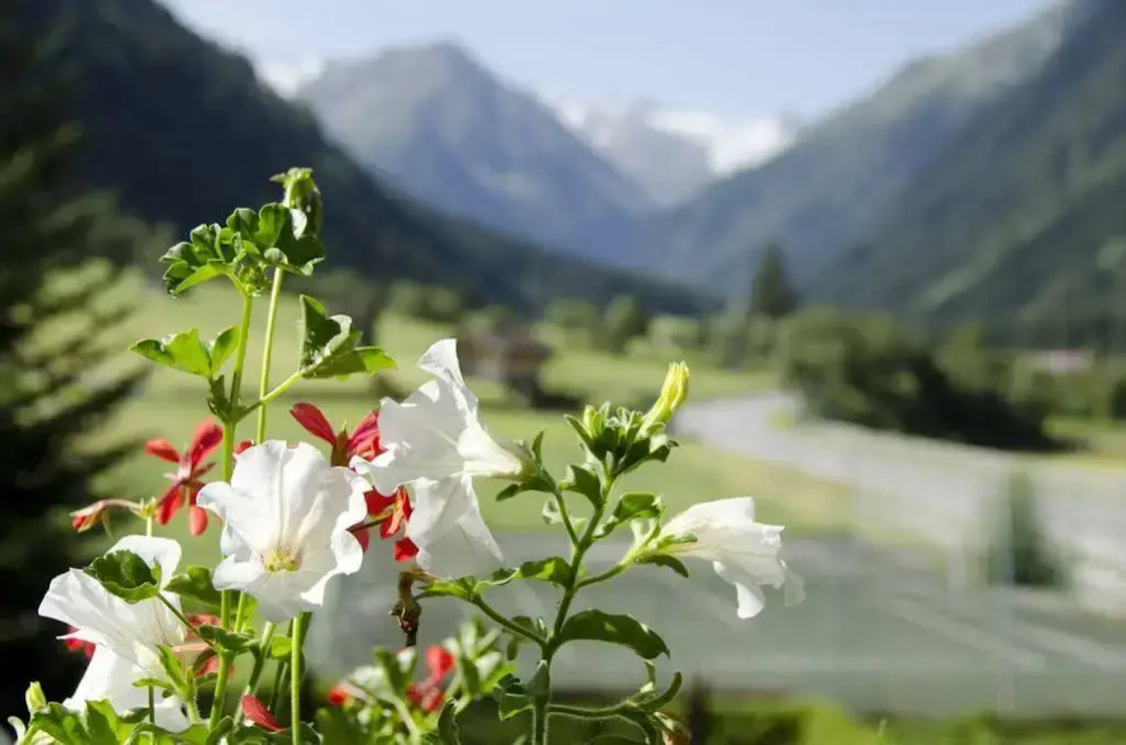Apart-Pension Wasserfall