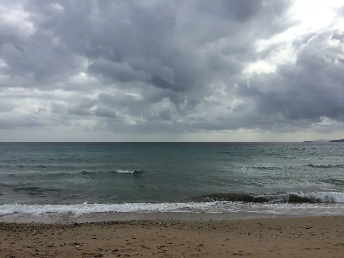 Beachfront Apartment Downtown