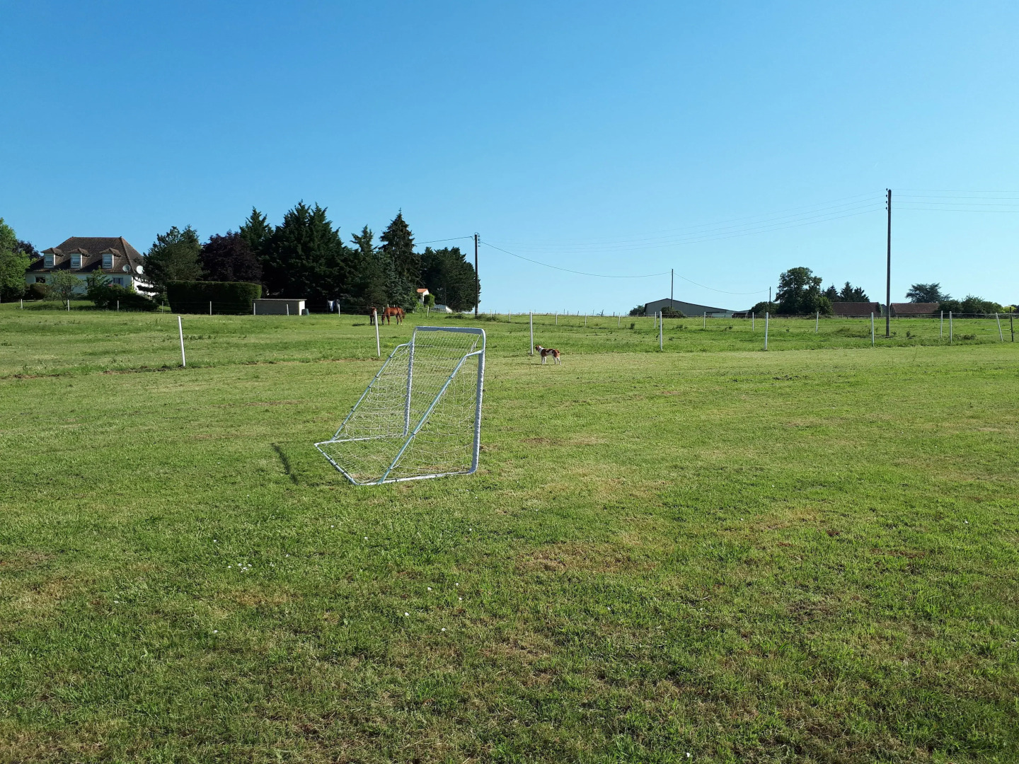Ecogite le Cerf Thibault en Brenne