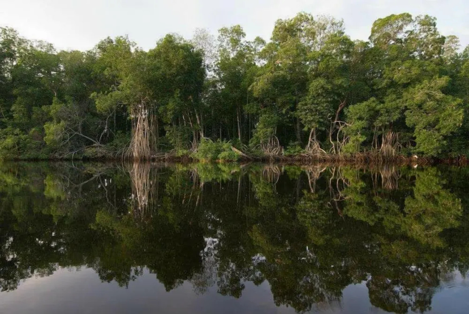 Hotel Acuatic Sports El Canal Chocohuital