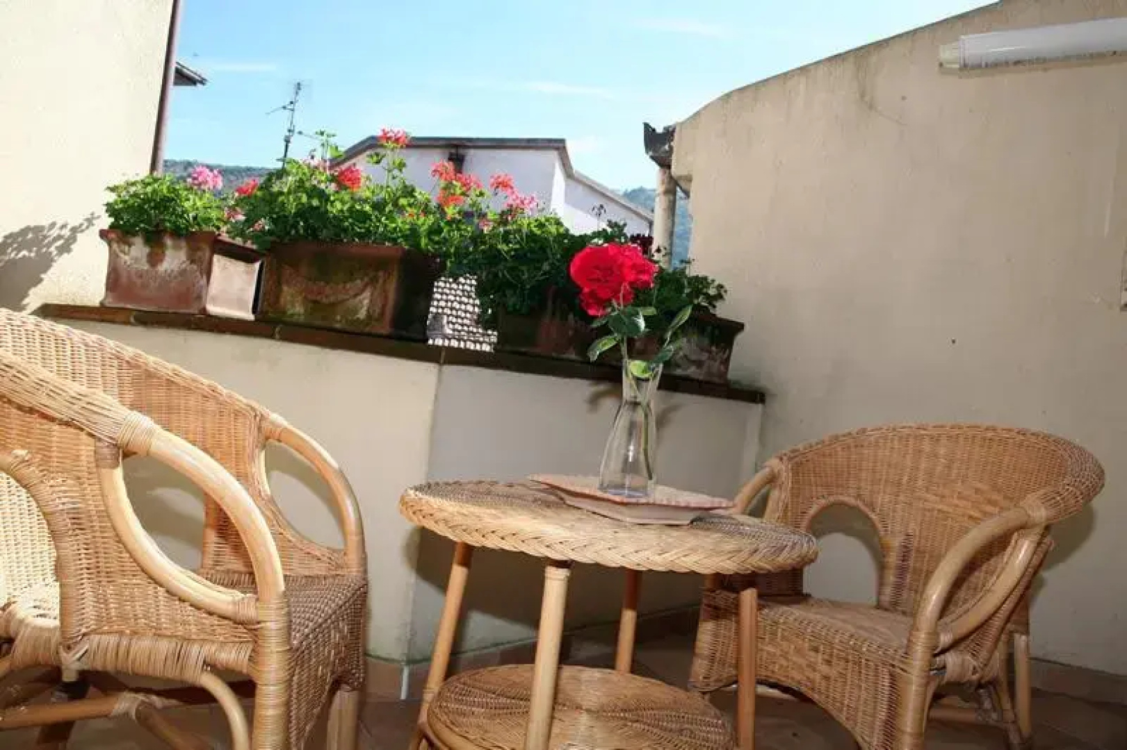 B&B L Agrifoglio
