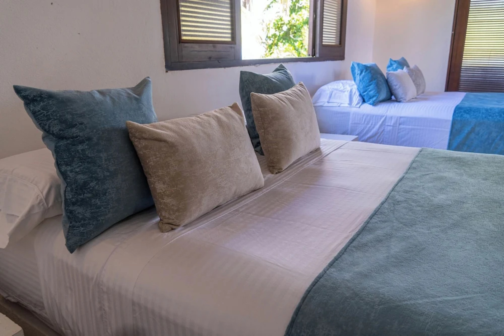 coconuco beach palomino