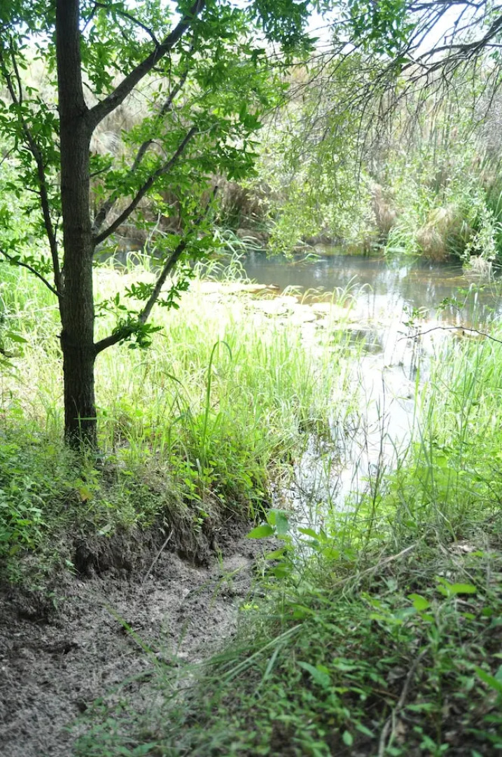 Askiesbos Okavango Delta