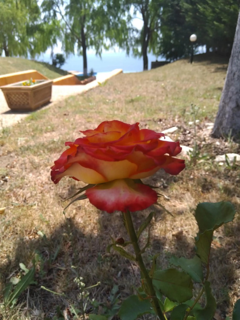 Private Apartment A12 in July Morning Seaside Resort