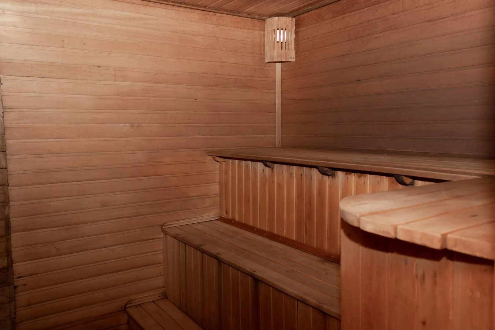 София Шерегеш