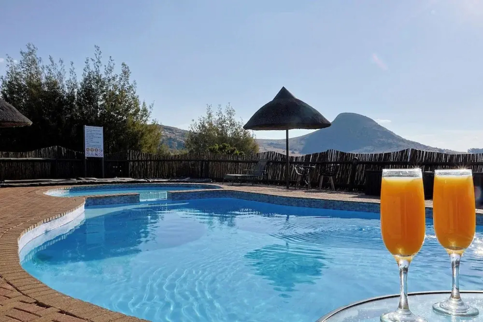 LIONSROCK Big Cat Sanctuary