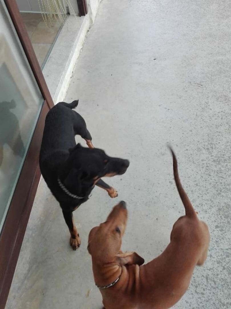 Bioagriturismo Sofia