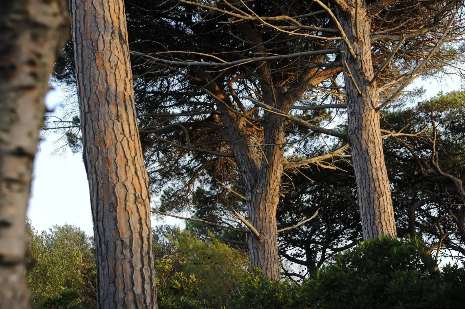 Touring Club Italiano - La Maddalena