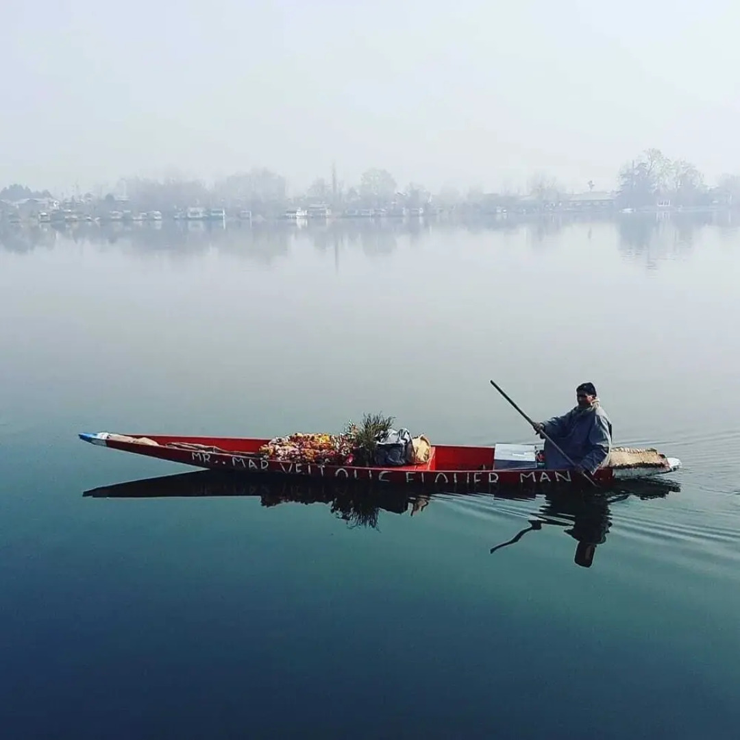 New kolohai Group of Houseboats