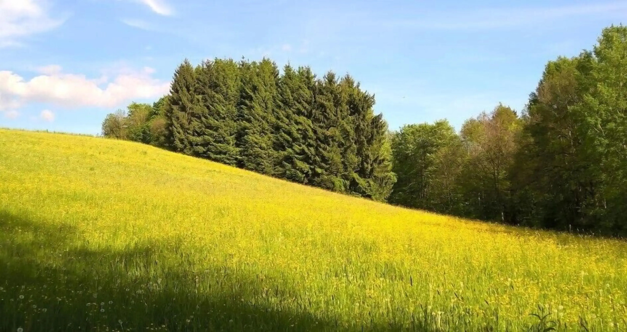 Hotel Ferien vom Ich