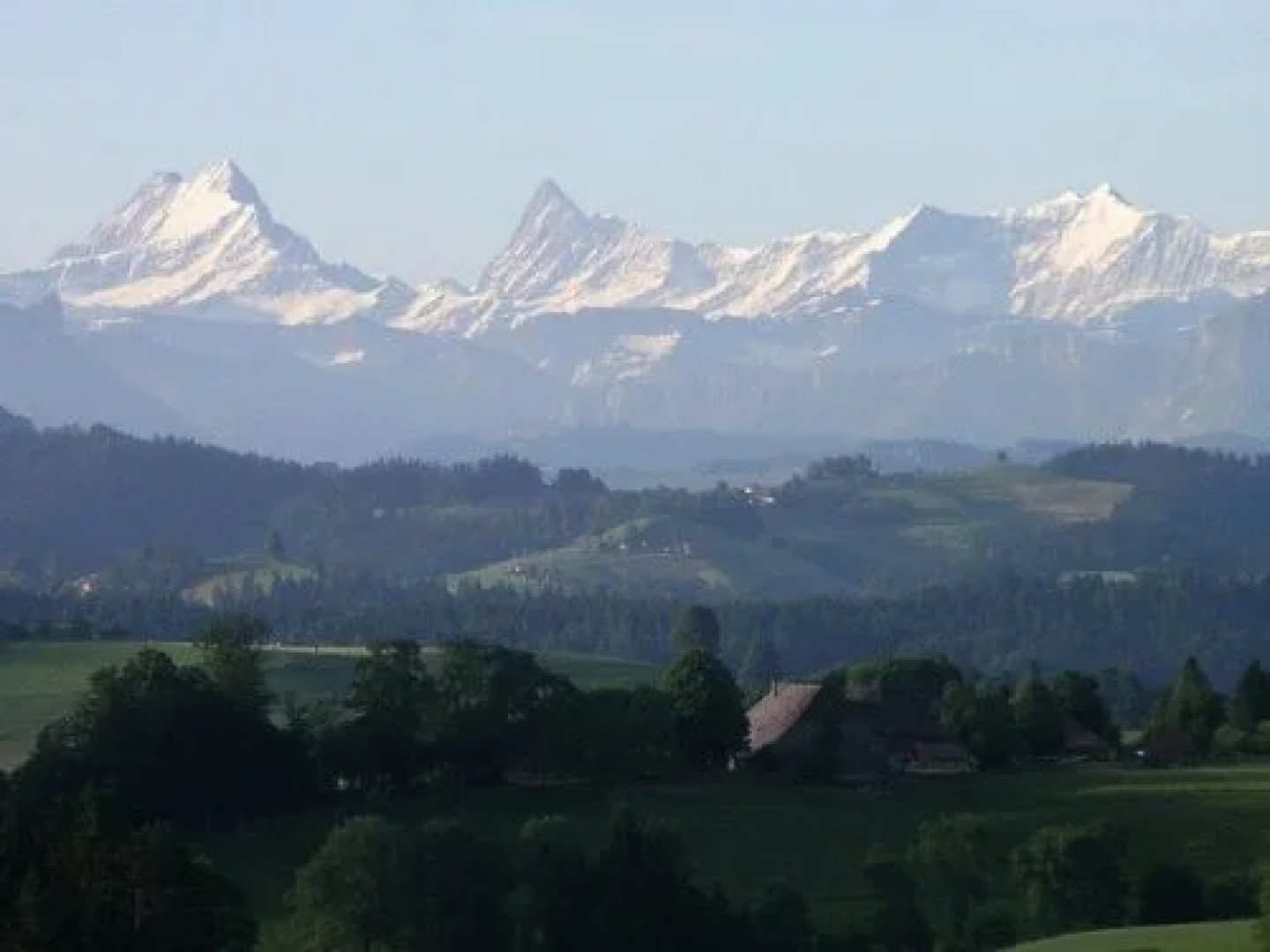 Hotel Restaurant Koi-Gartenteich
