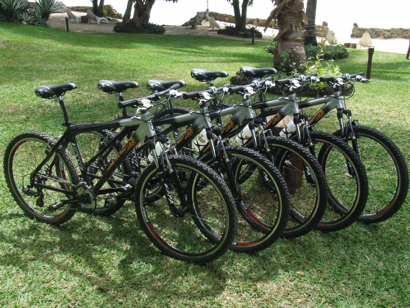 Paradise Cove Resort