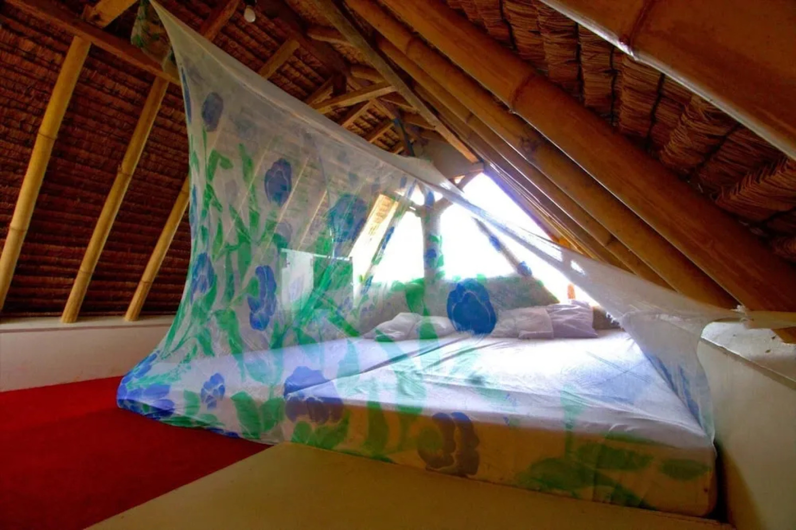 The Rabbit Tree - Hostel