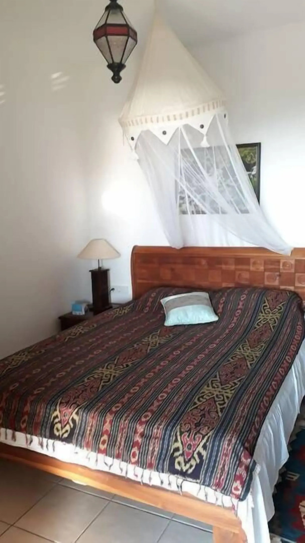 Lazy Lizard Boutique-Hotel