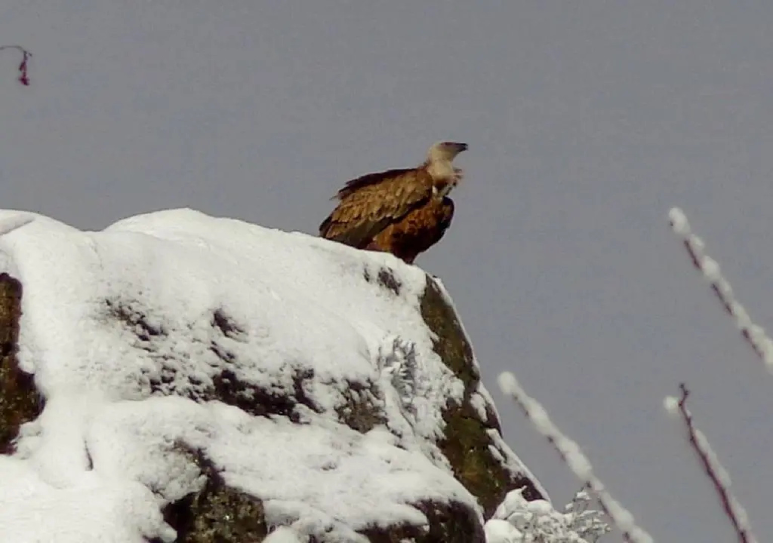 C'era una volta Apartment