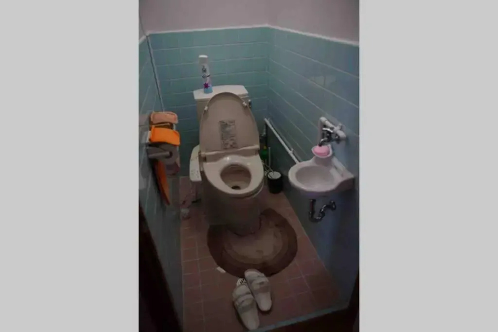 Japanestジャパネスト