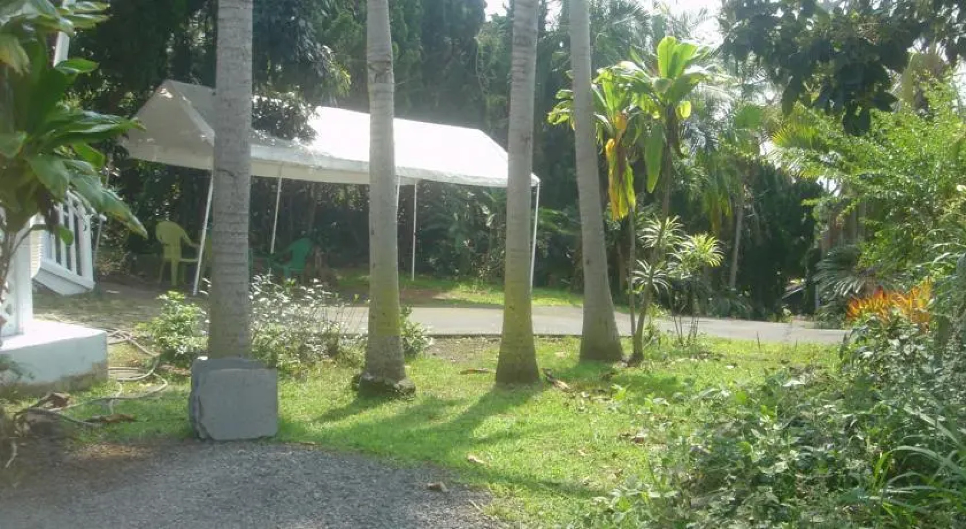 Green Lions Vacation Rental