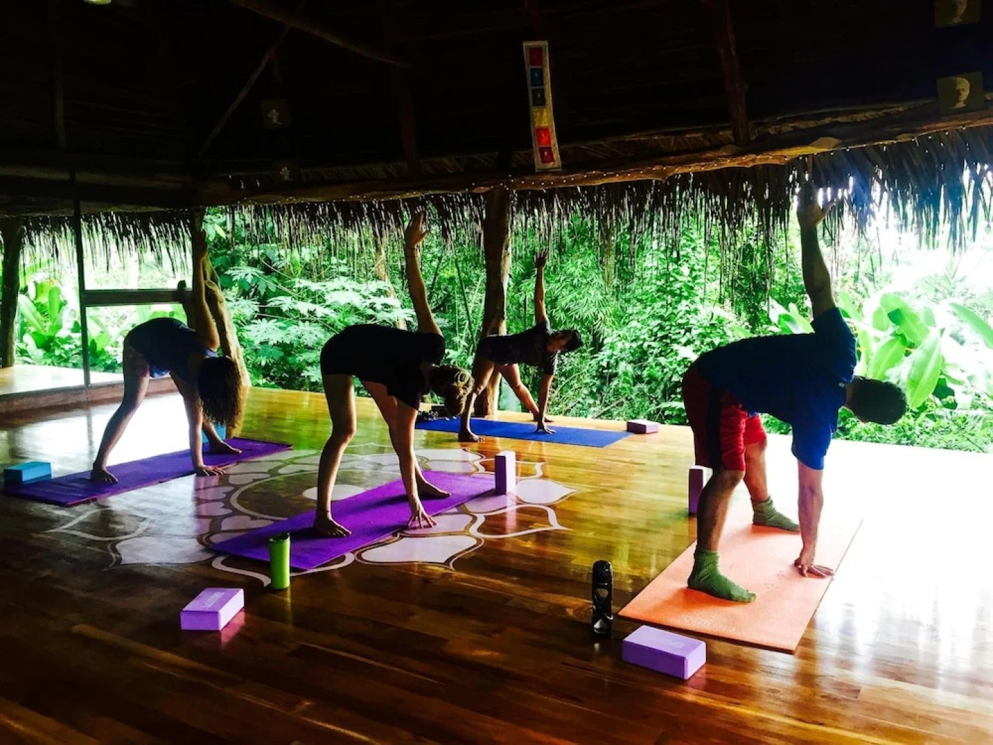 Jungle Lodge at Wild Sun Rescue