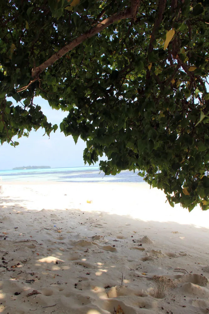 Rip Tide Vacation Inn