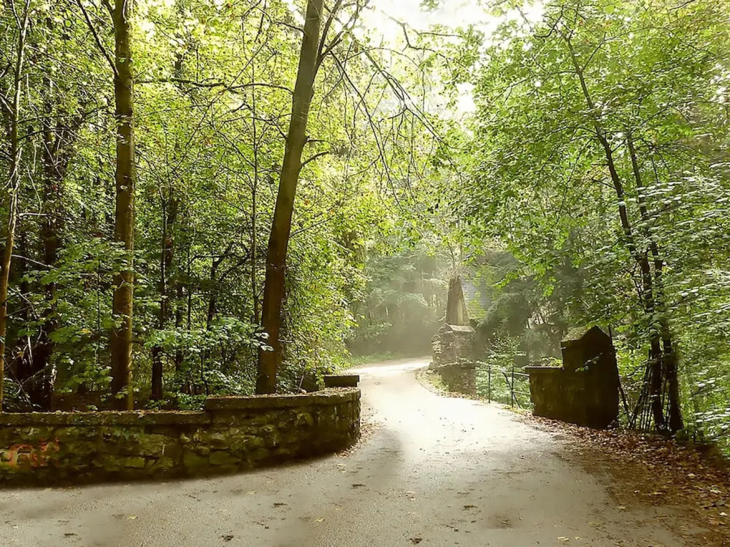 Premium Apartment With Bubble Bath