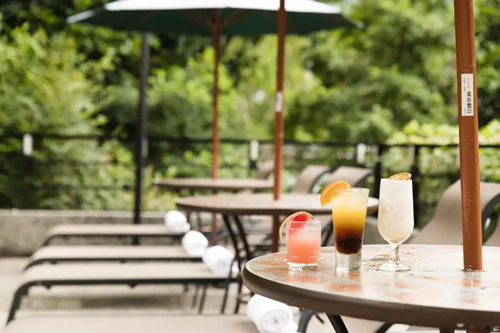 The Great Roots Forestry SPA Resort