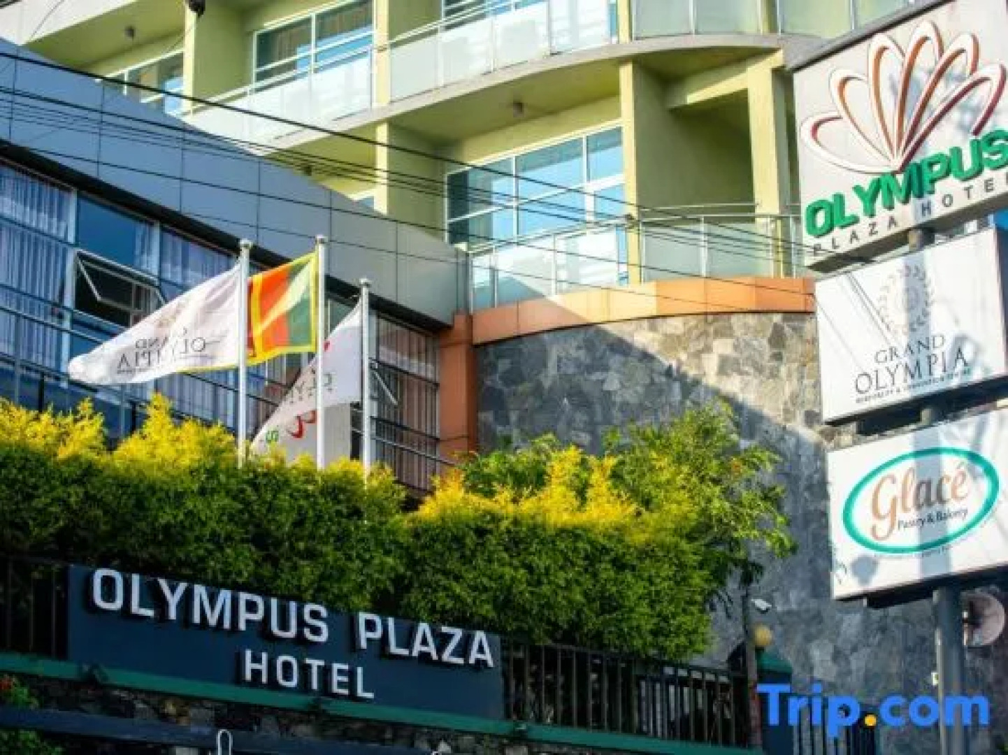 Olympus Plaza Hotel