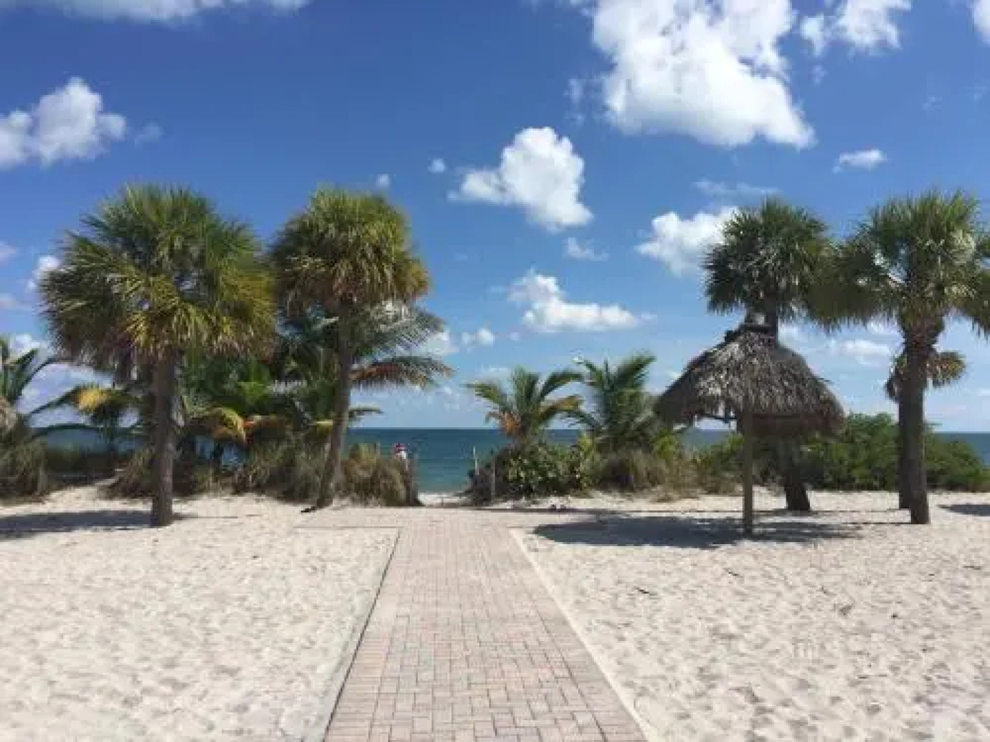 Beach Haus Key Biscayne Contemporary Apartments