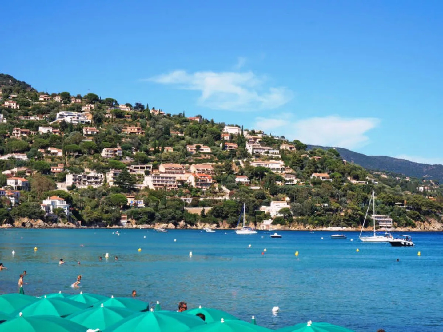 Cap Negre : Domaine de la Pinede 33542