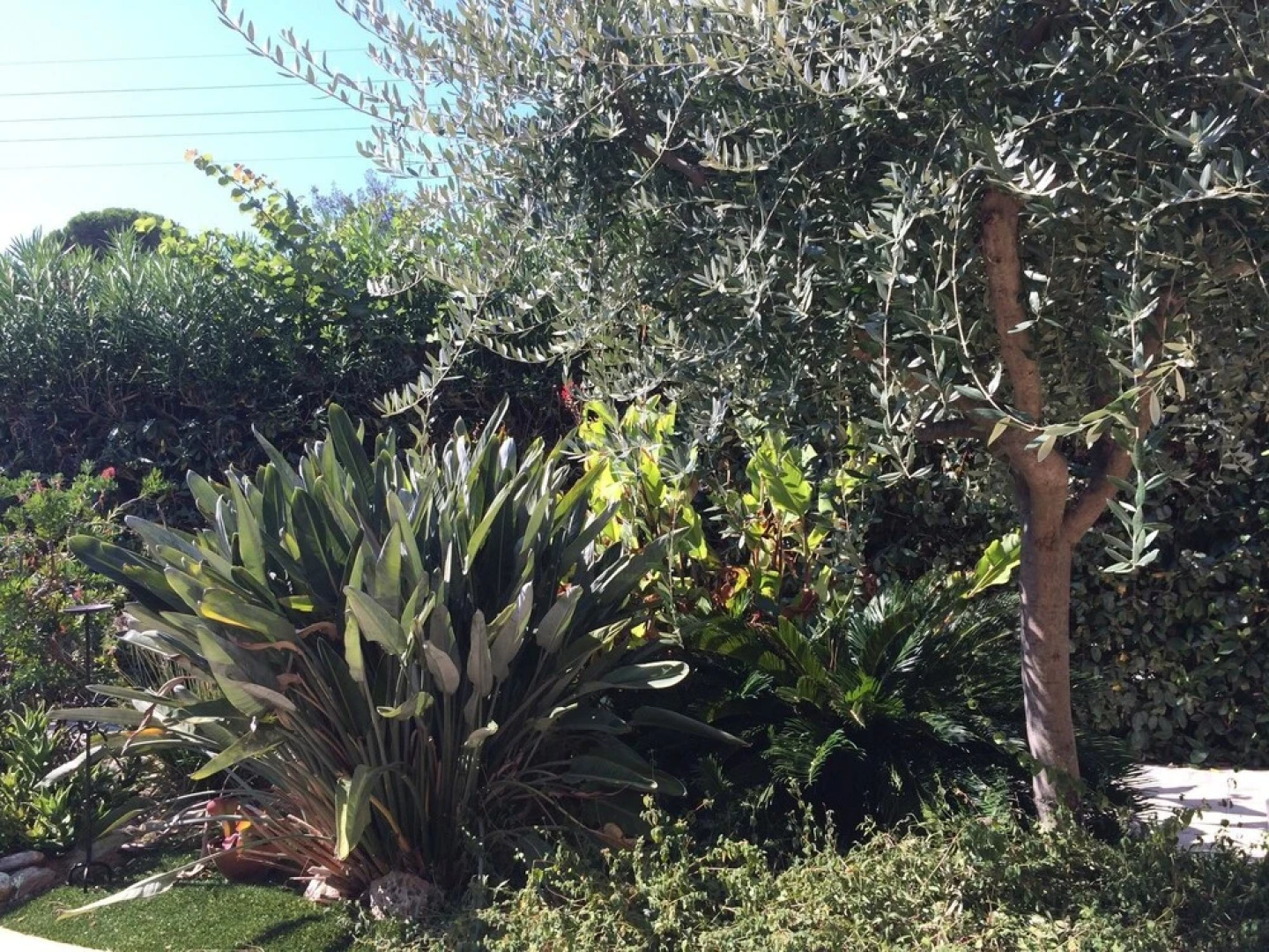 Apartment With one Bedroom in Cavalaire-sur-mer, With Pool Access and