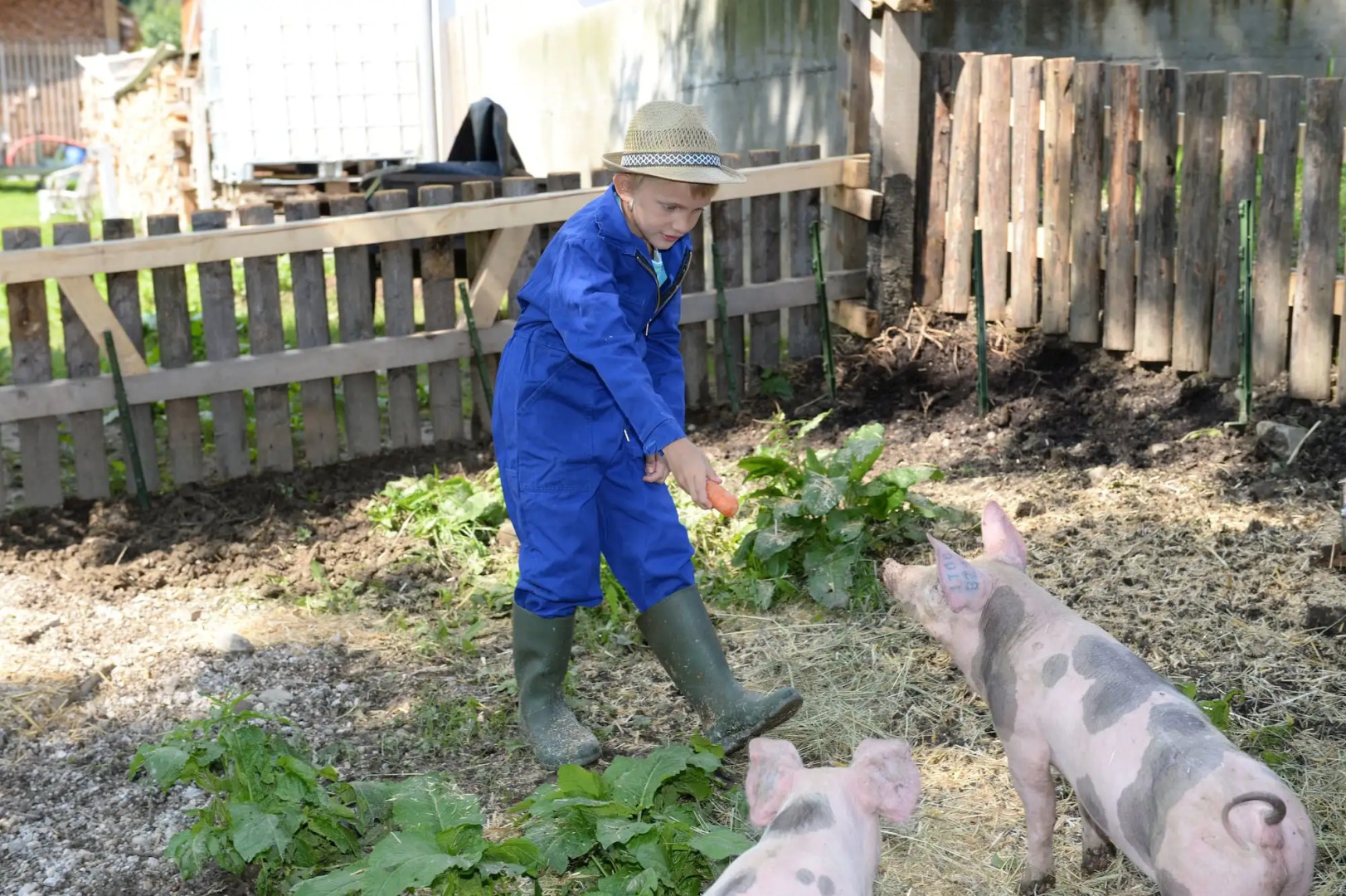 Wirtshaushotel Alpenrose