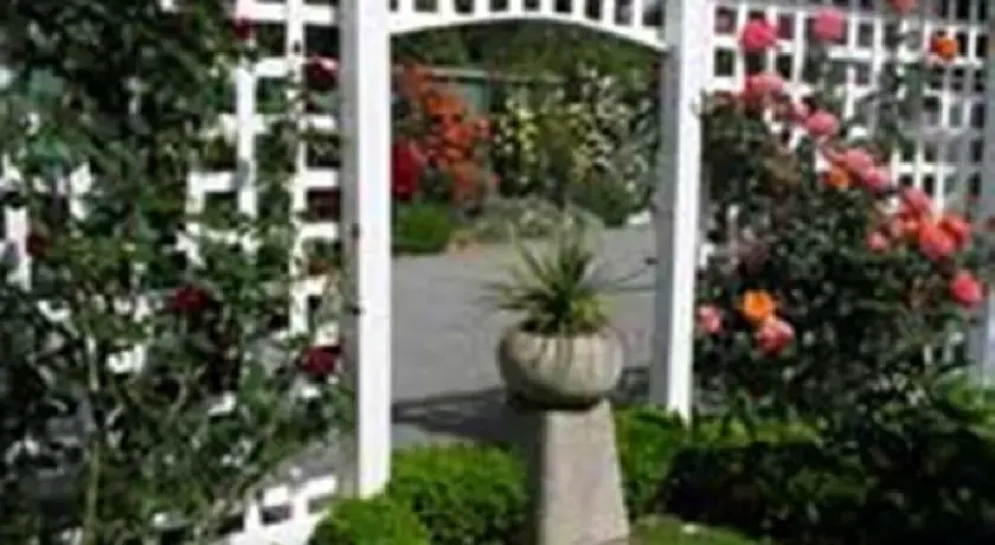 The Martinborough Connection