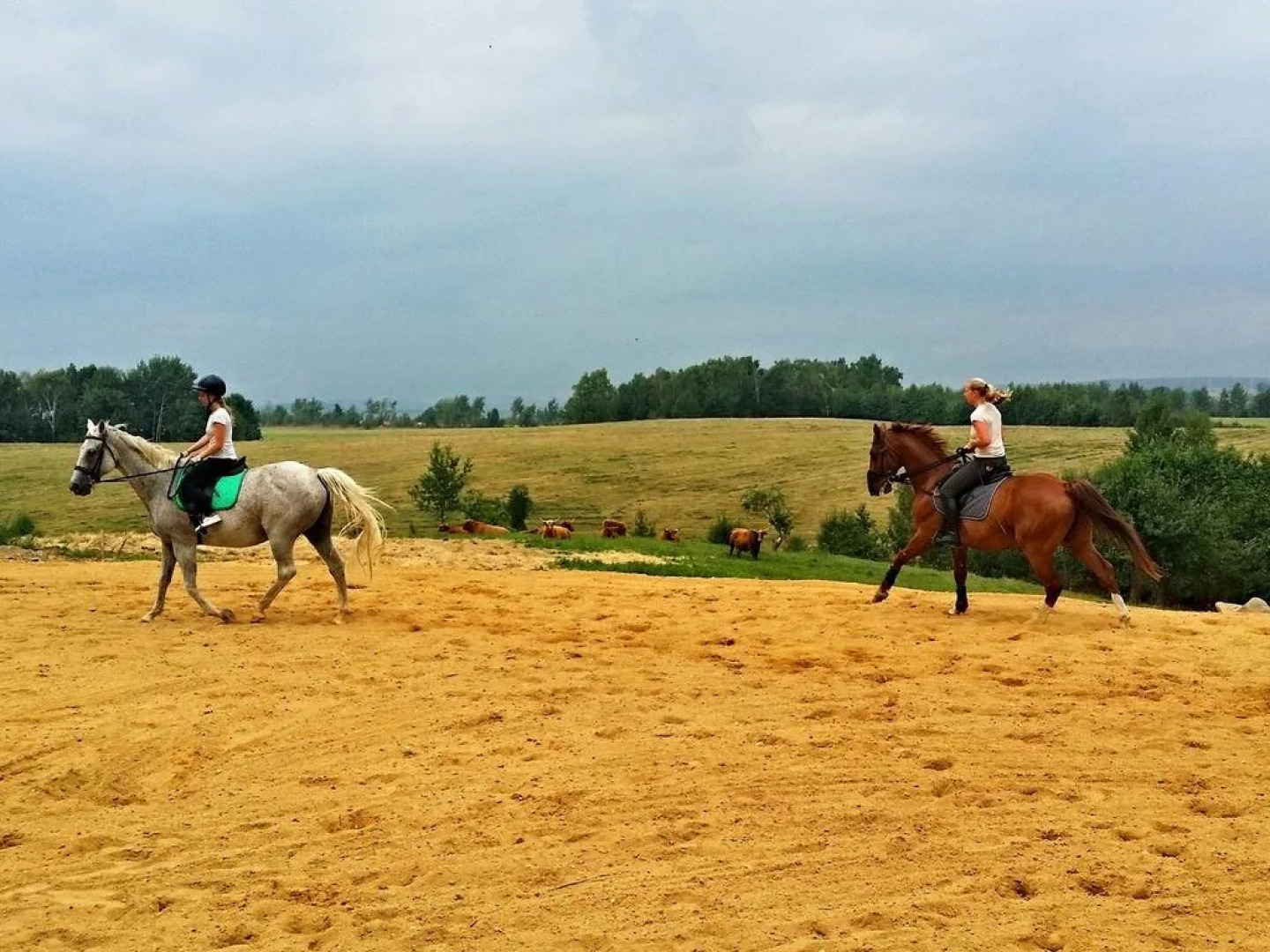 Zámecký Dvůr Černousy