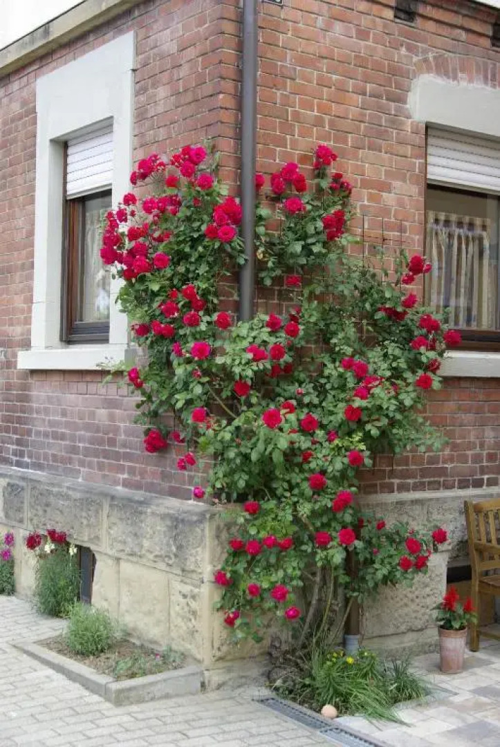 Gästezimmer zwischen Neckar und Enz