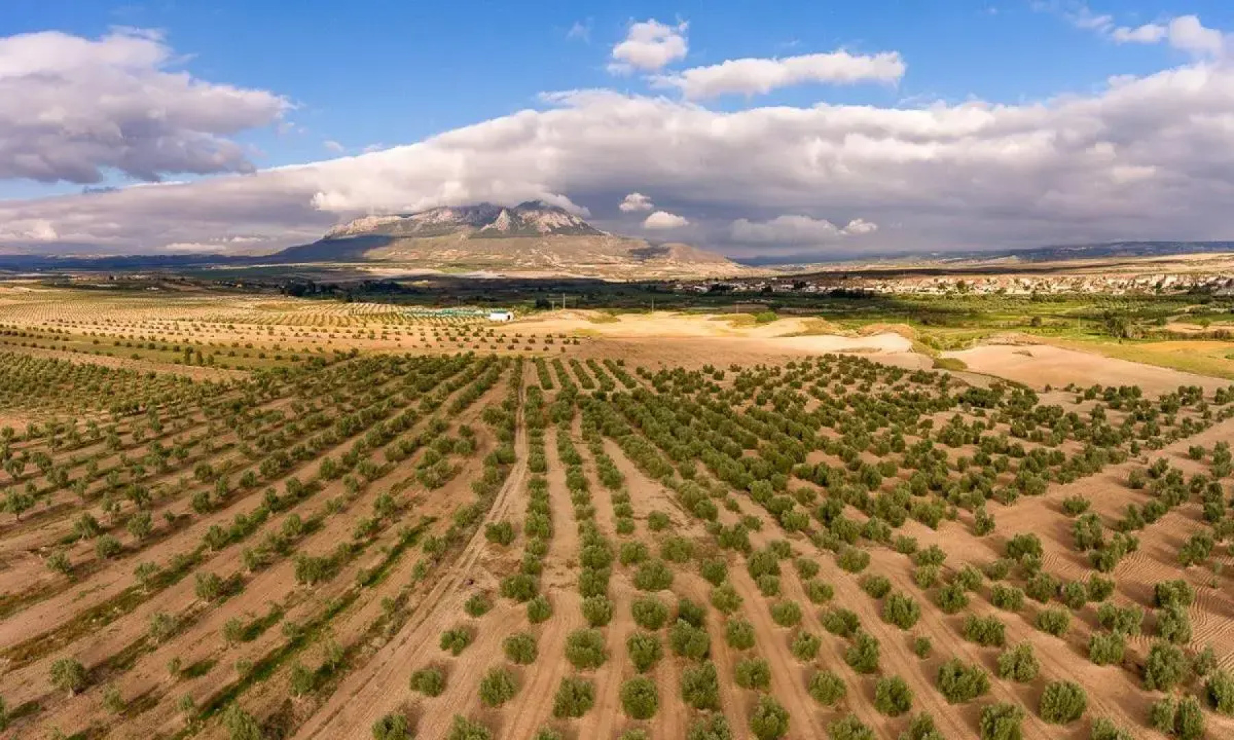 Cueva El Murallon Benamaurel