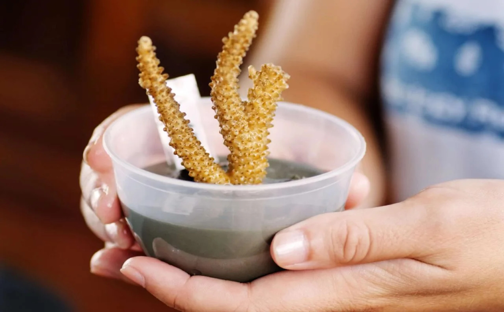 Gayana Marine Resort