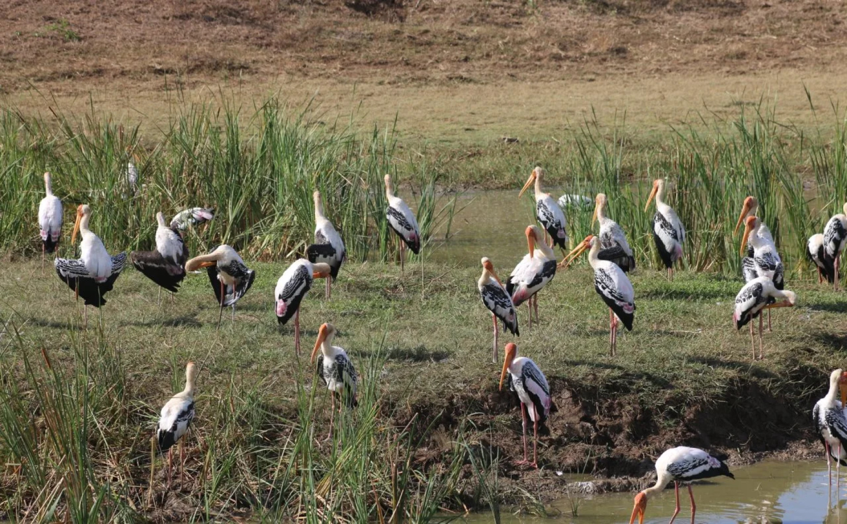 NIKARA Yala Beach Villas