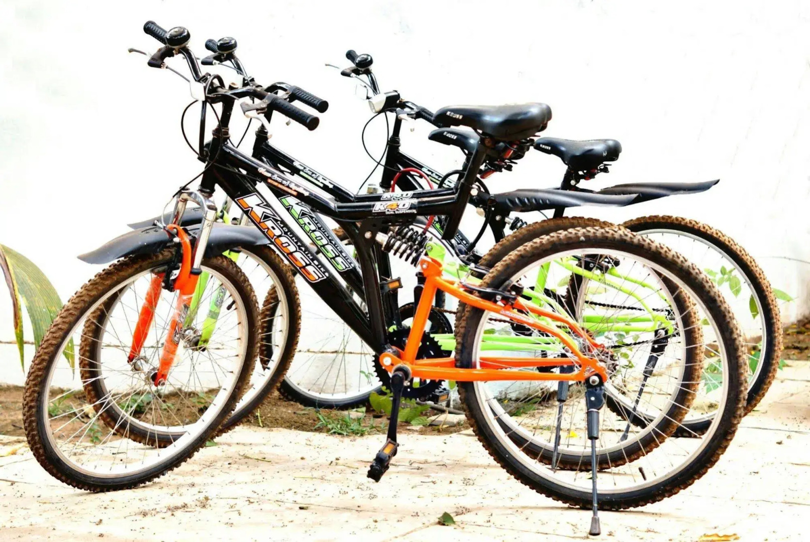 Backpacker Panda Goa