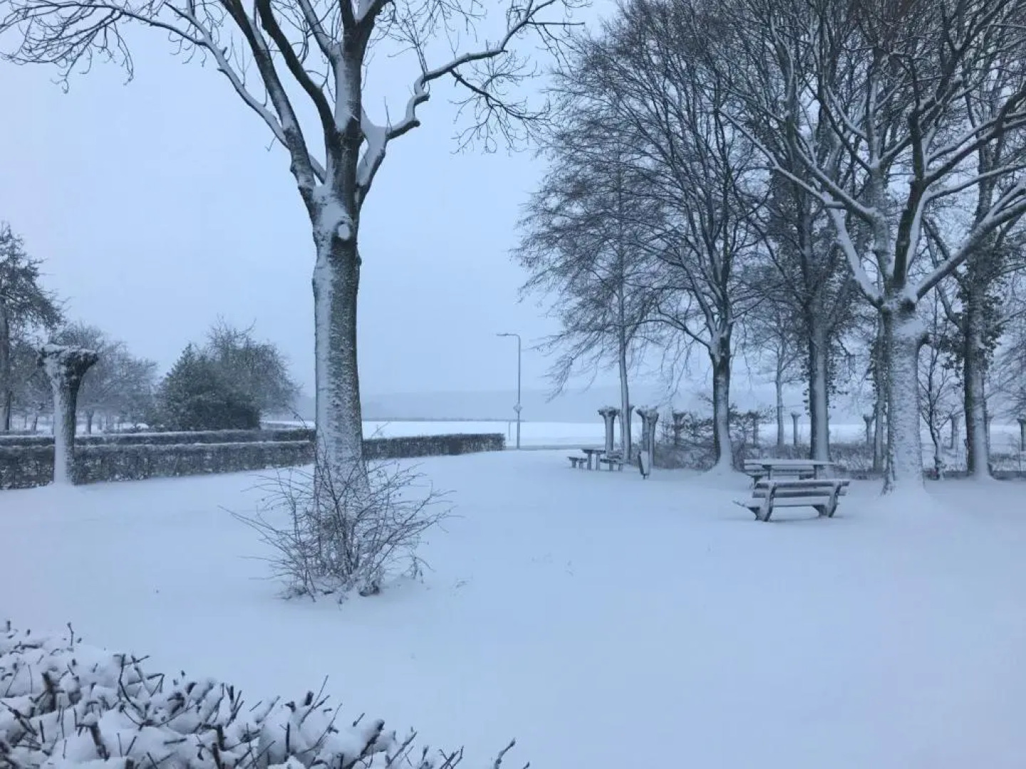 Appartementen De Zegelskoël